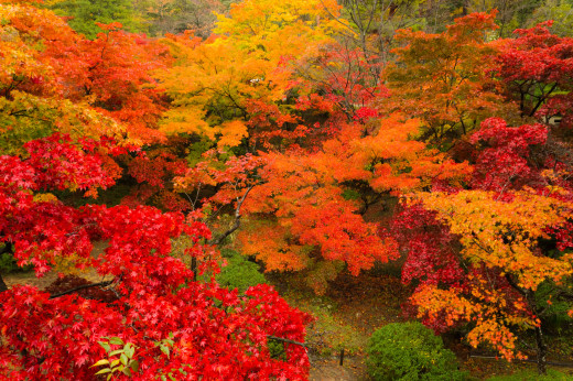714961 (a): :3000x1993